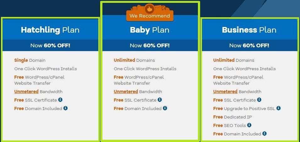 HostGator Web Hosting Plan