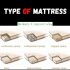 Zinus vs Tuft and Needle Mattress